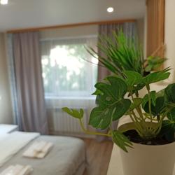 Фото Апартаменты на улице Академика Книповича