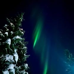 Фото Отель Лапландия