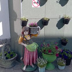 Фото Отель Лотос гостевой Дом