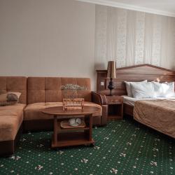 Номер полулюкс с 1 двуспальной кроватью (корпус Морской)