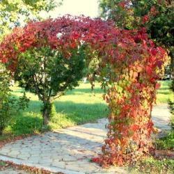 Фото Отель Volna Family Resort (Волна Фэмили Резорт)