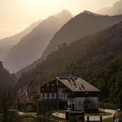 Фото Отель Forrest Terrace Hotel (Форрест Терасса)