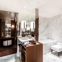 Ararat Park Hotel Moscow (Арарат Парк Хаятт Москва) — 4543306fe450445c8dc1dcf5a04adbdf