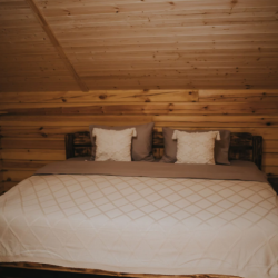 Фото Отель Сны Леса