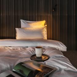 Комната двухуровневый делюкс