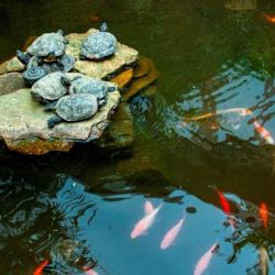 Фото Отель Сиена