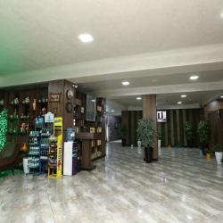 Фото Отель Chinor Hotel (Чинор)
