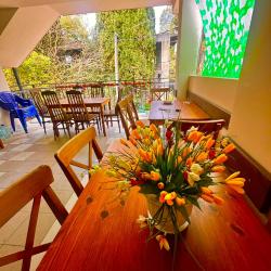 Фото Отель Морские истории