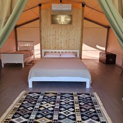 Фото Отель Медовый