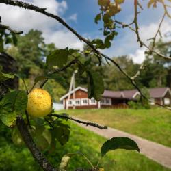 Фото Дачный отель Лесные Поляны
