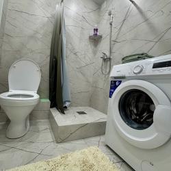 Фото Апартаменты на проспекте Надежды Плевицкой 8