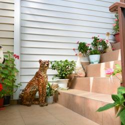 Фото Отель Звёздочка