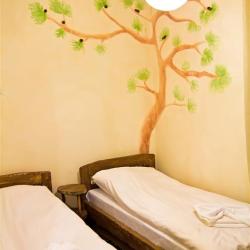 Фото Отель Большая Медведица