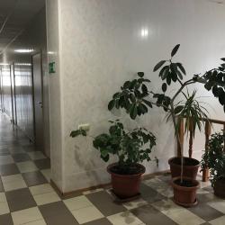 Фото Отель Баргузин