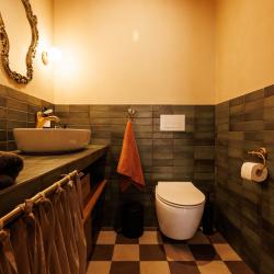 2-комнатный номер студия премиум Артишок