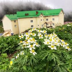 Фото Отель Седьмое небо