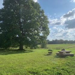 Фото Отель Хутора на озере Алё