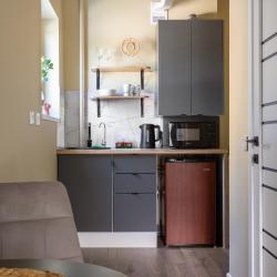1-комнатные апартаменты студия Turgenev apartments