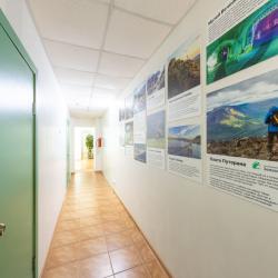 Фото Отель Гостевой дом Зеленый