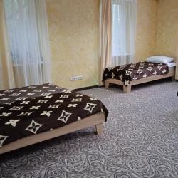 Фото Отель Пушка