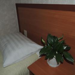 Фото Отель DragonFly (ДрагонФлай)