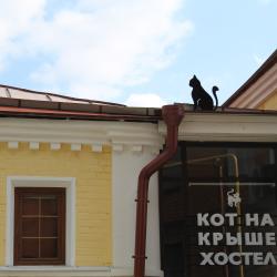 Фото Отель Кот на крыше