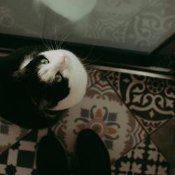 Фото Отель Фабрика