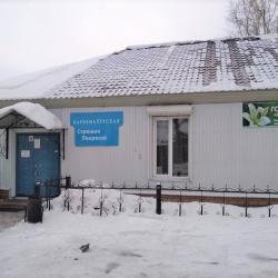 Фото Отель Белые росы