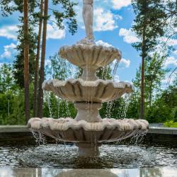 Фото Отель Северный сад