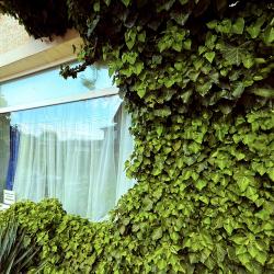 Фото Отель 4 Сезона (Четыре Сезона)