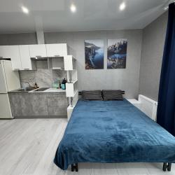 Фото Апартаменты на улице Жореса Алфёрова 16