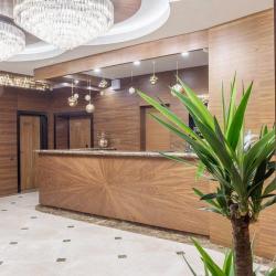 Фото Grand Hotel Bezhitsa (Бежица Гранд отель)