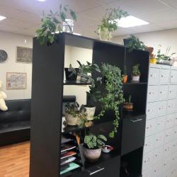 Фото Hostel Star (Хостел Стар) Мякинино