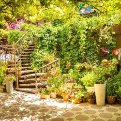 Фото Отель Аленка