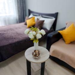 1-комнатные апартаменты стандарт