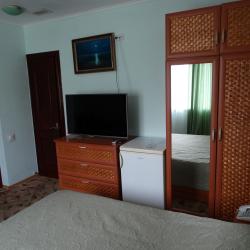 2-местный номер стандарт с 1 двуспальной кроватью