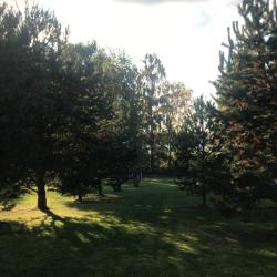 Фото Отель Дункан