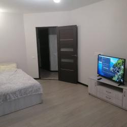 Фото Апартаменты на переулке Магнитный 1Б корпус 3
