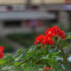 Фото Апартаменты M1C