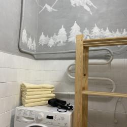 Фото Апартаменты на улице Мира 27