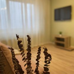 Фото Отель Уютная квартира в стиле Прованс