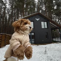 Фото Отель Сова