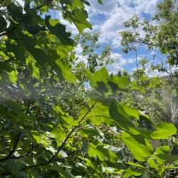 Фото Апартаменты на улице Ленина, 318/2