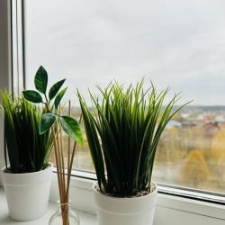 1-комнатные апартаменты улучшенные 2