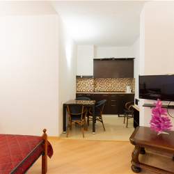 Фото Апартаменты New Gudauri Rooms (Нью Румс)
