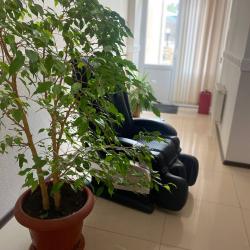 Фото Отель Пансионат Империал