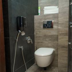 Номер люкс премиум с 1 двуспальной кроватью