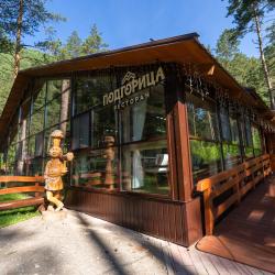 Фото Алтай-парк-отель Подгорица