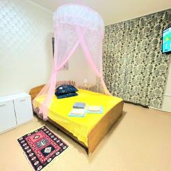 Фото Апартаменты на улице Некрасова 66