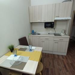 1-комнатные апартаменты студия 19 Пулковское ш 14Д с 1 двуспальной кроватью